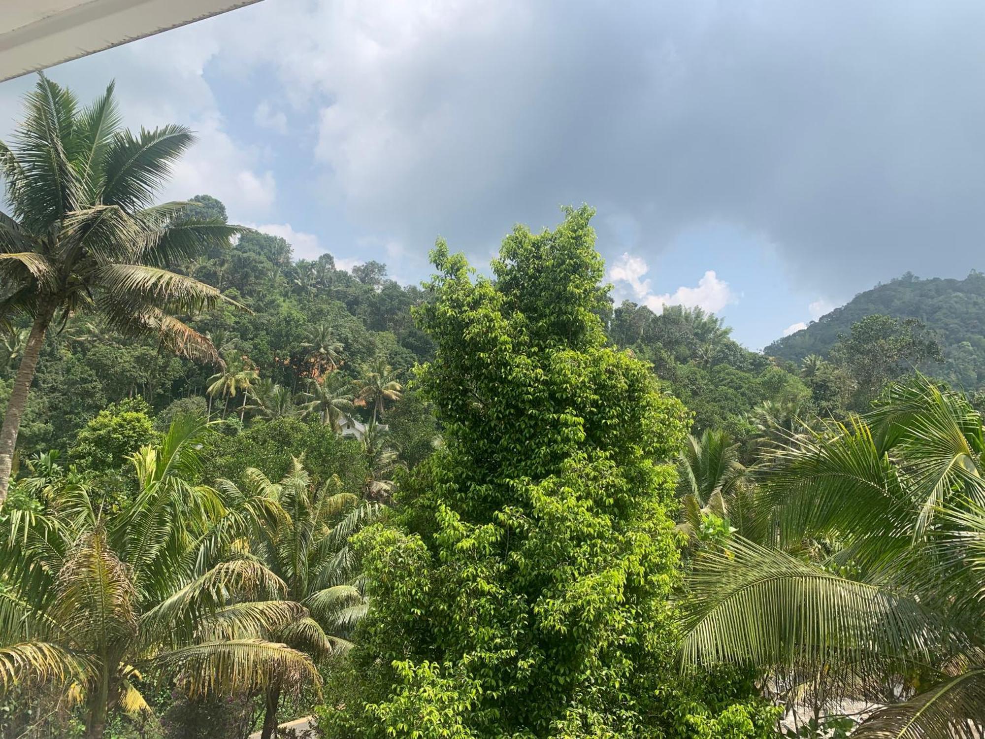 شقة Munnar Falcuns Anachal المظهر الخارجي الصورة