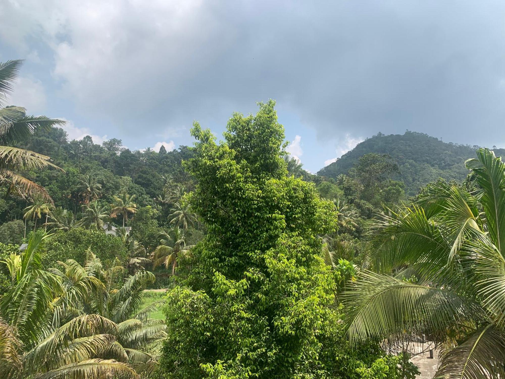 شقة Munnar Falcuns Anachal المظهر الخارجي الصورة